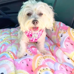 Chasing Rainbows - Adventure Mat