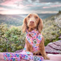 Cheetah Party - Adjustable Harness