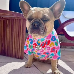 Cheetah Party - Sun & Sand Rashie UV 50+