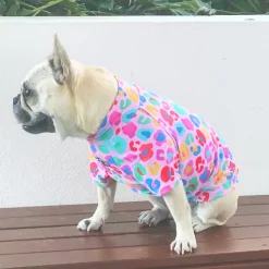 Cheetah Party - Sun & Sand Rashie UV 50+