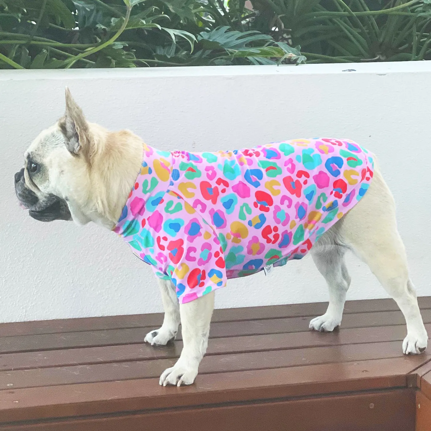 Cheetah Party - Sun & Sand Rashie UV 50+