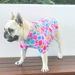 Cheetah Party - Sun & Sand Rashie UV 50+