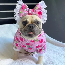 Cherry Daisy Charm Dog Skivvie (Limited Edition)