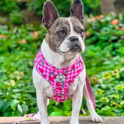 Cherry Delight - Adjustable Harness