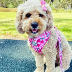 Cherry Delight - Adjustable Harness