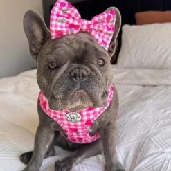 Cherry Delight - Adjustable Harness