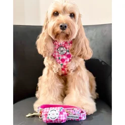 Cherry Delight - Adjustable Harness