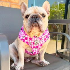 Cherry Delight - Adjustable Harness