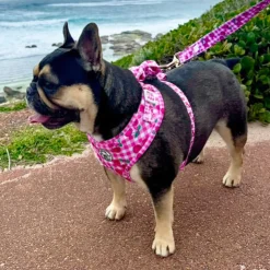 Cherry Delight - Adjustable Harness