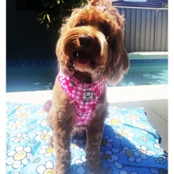 Cherry Delight - Adjustable Harness