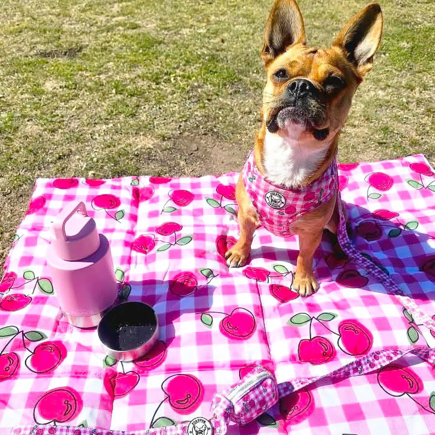 Cherry Delight - Adventure Mat