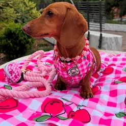 Cherry Delight - Adventure Mat