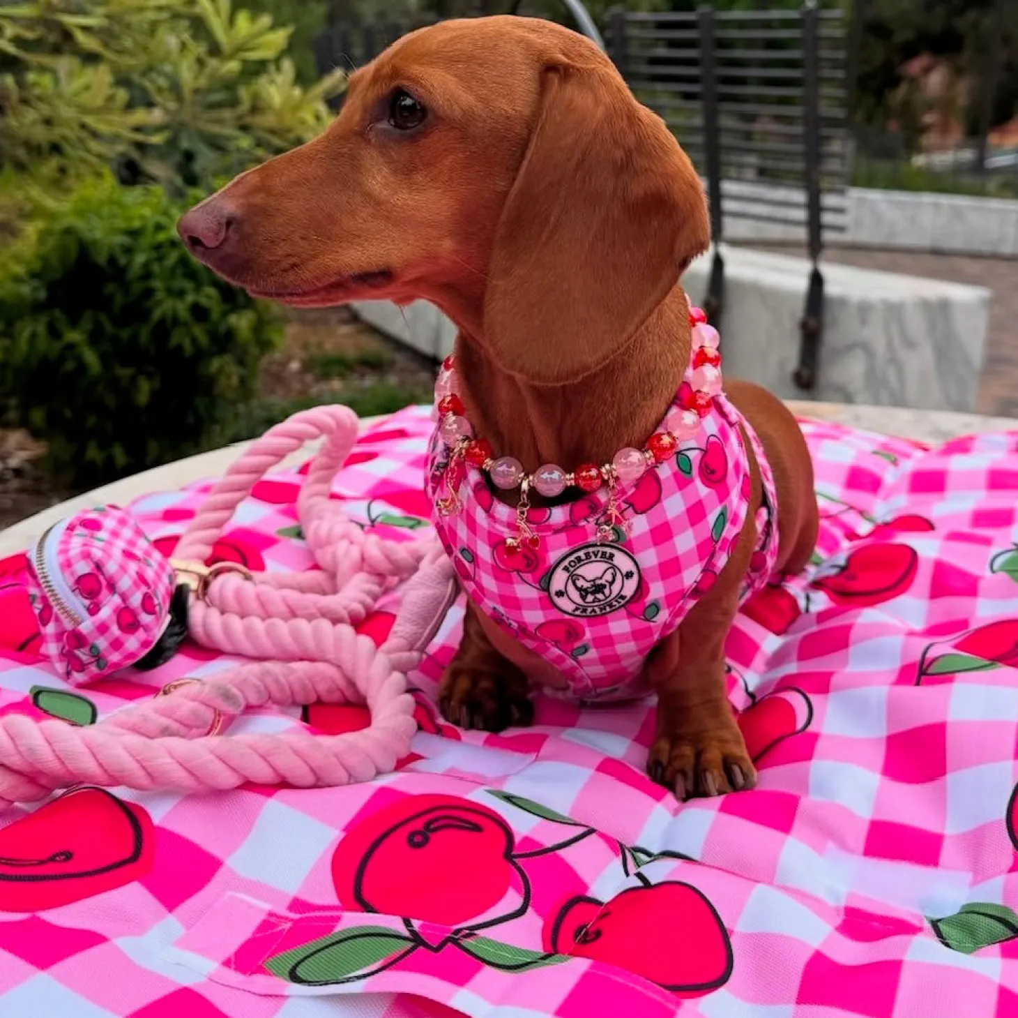 Cherry Delight - Adventure Mat