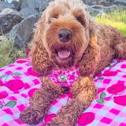 Cherry Delight - Adventure Mat