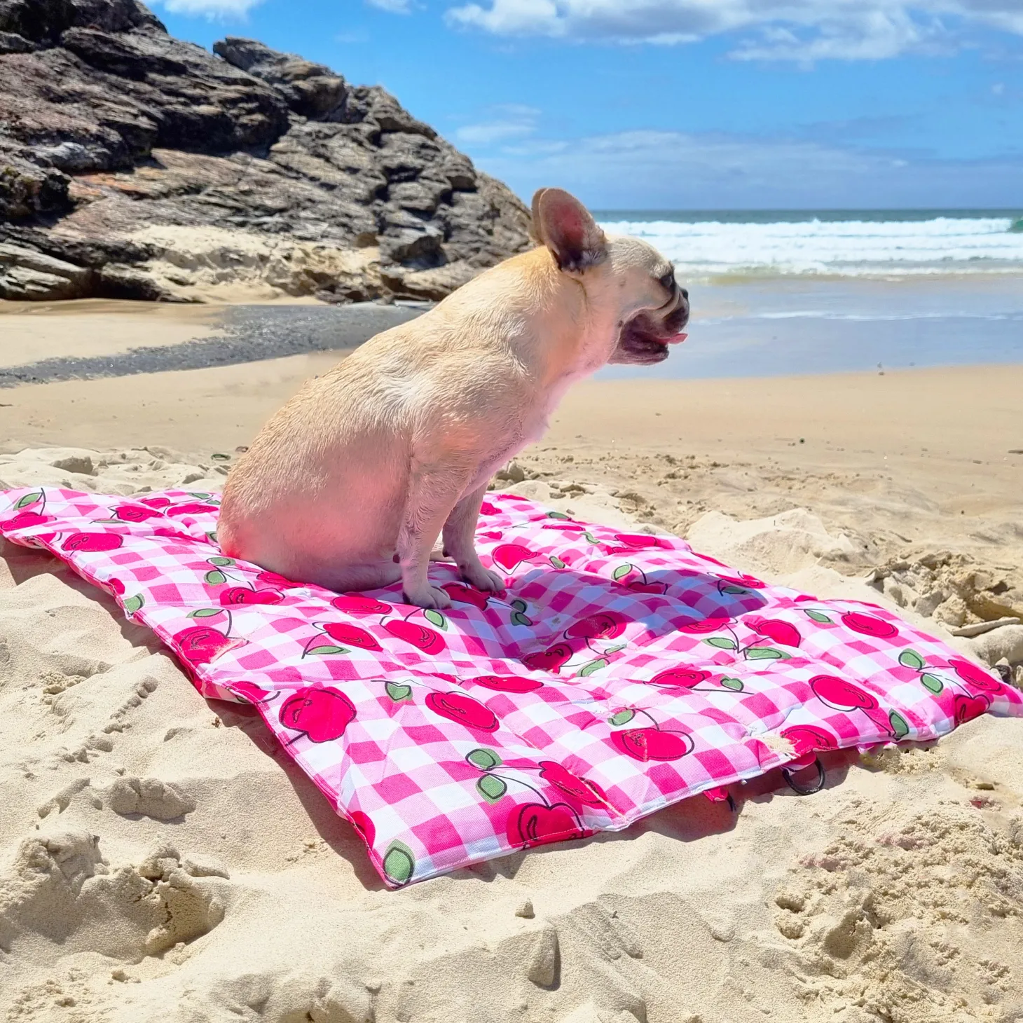 Cherry Delight - Adventure Mat