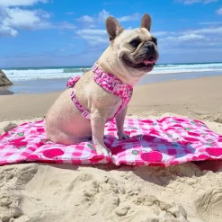 Cherry Delight - Adventure Mat