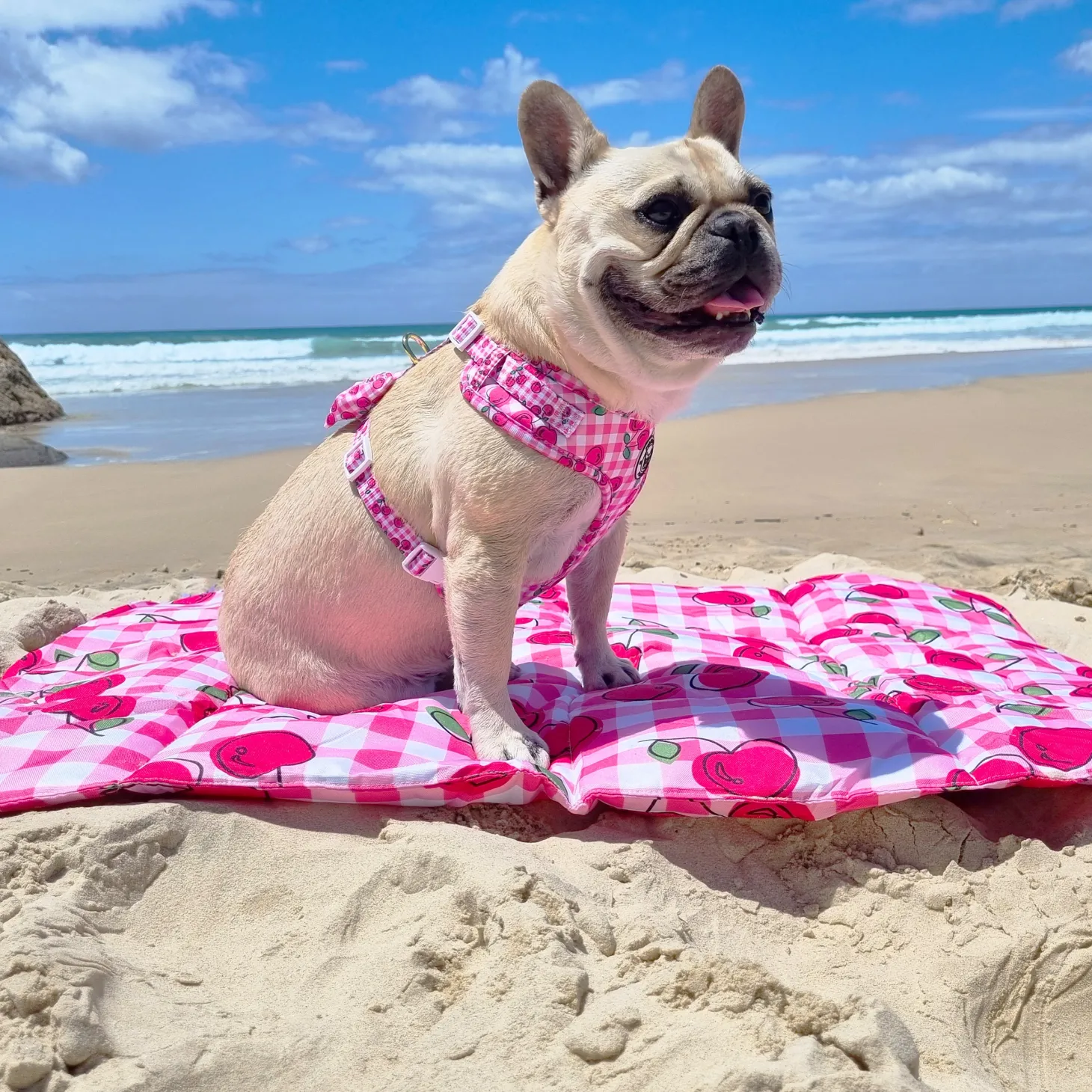 Cherry Delight - Adventure Mat