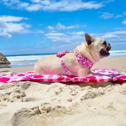 Cherry Delight - Adventure Mat