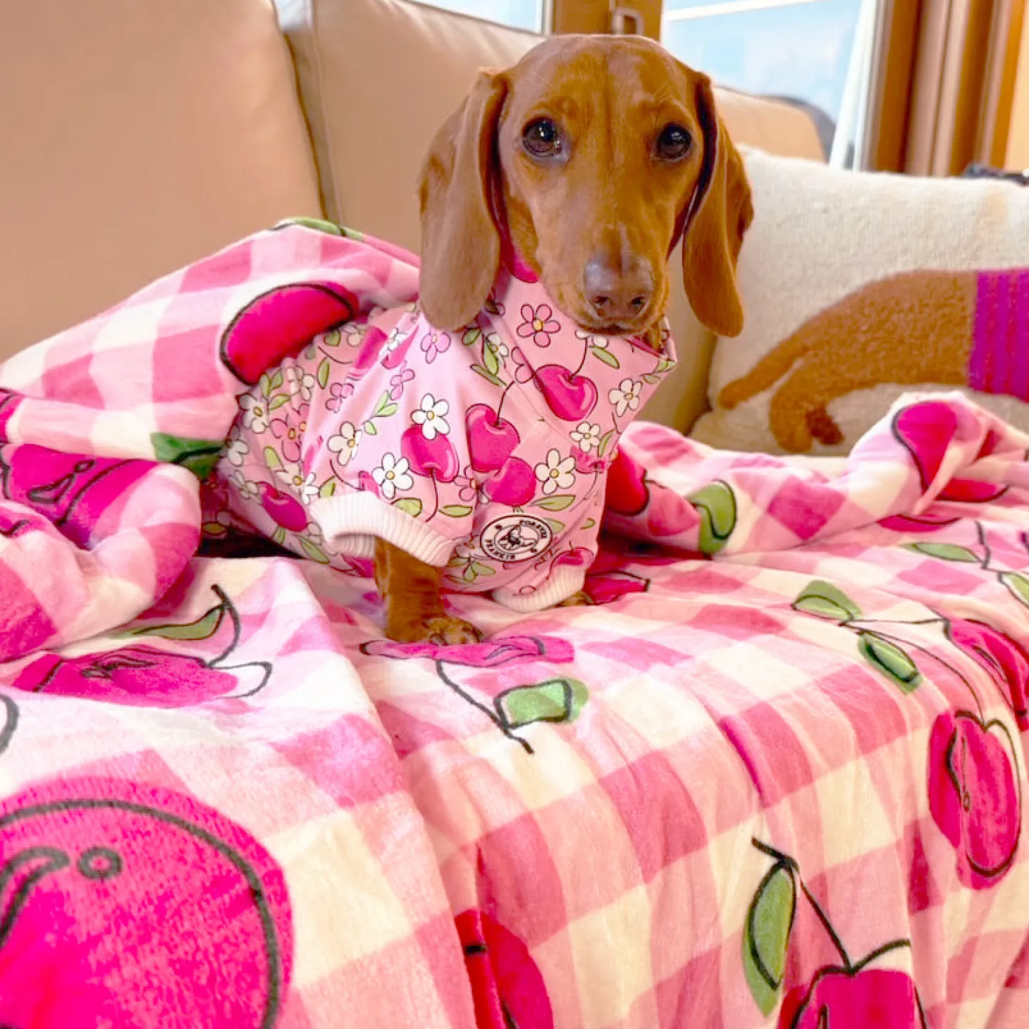 Cherry Delight - Extra Soft Pet Blanket