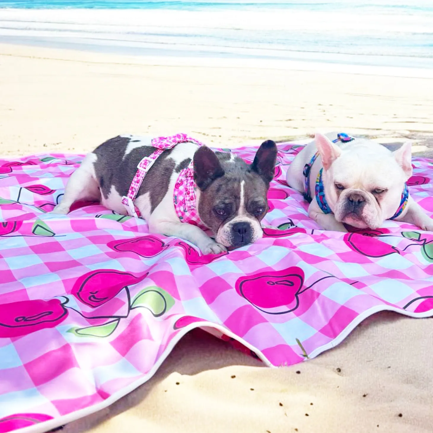 Cherry Delight - Picnic Blanket