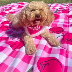 Cherry Delight - Picnic Blanket