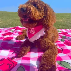 Cherry Delight - Picnic Blanket