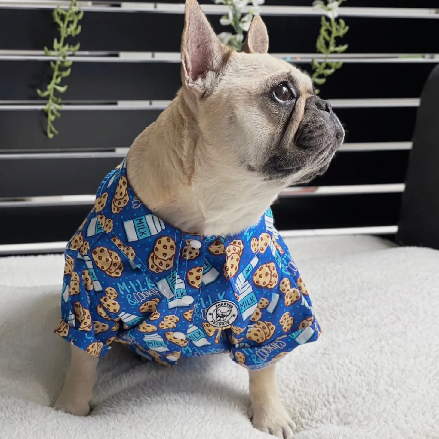 Cookies and Cream- Party Shirt