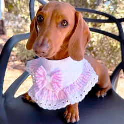 Cotton Candy Charm - Bandana