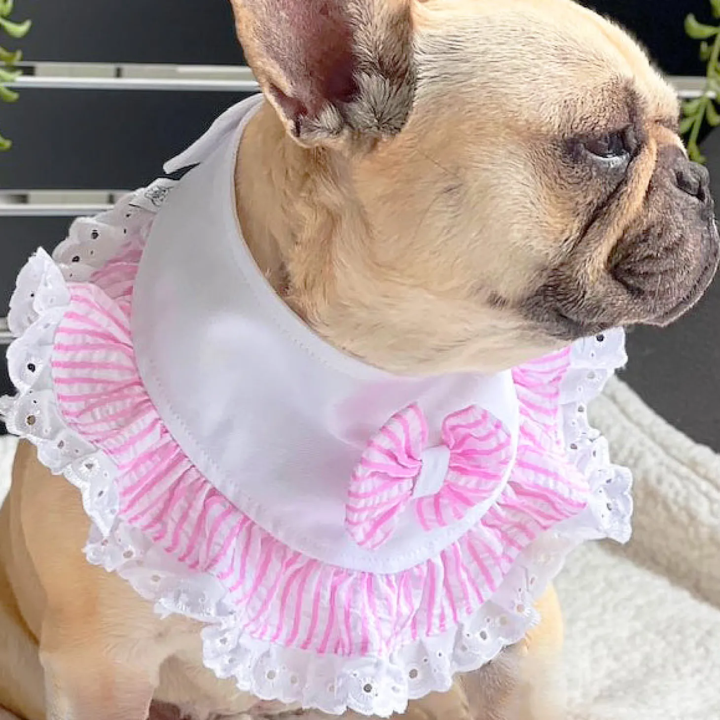 Cotton Candy Charm - Bandana