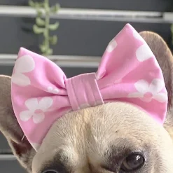 Daisy Blush - Head Bow (Limited Edition)