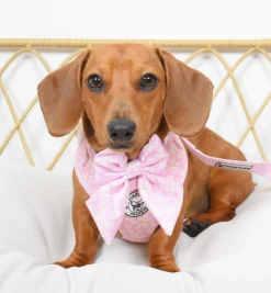 Daisy Chain - Adjustable Harness