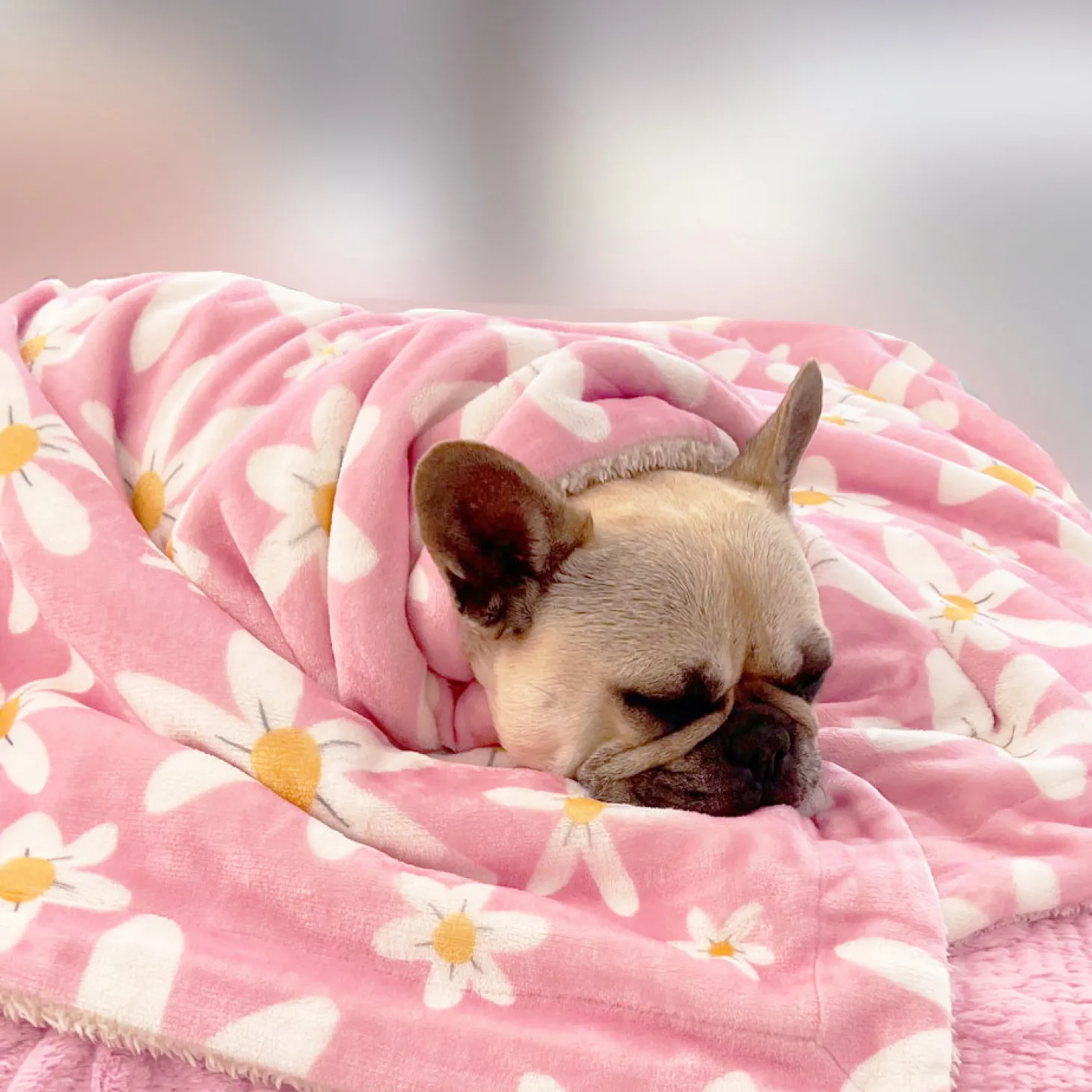 Daisy Chain - Extra Soft Pet Blanket