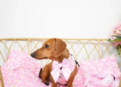 Daisy Chain - Sailor Bow Tie