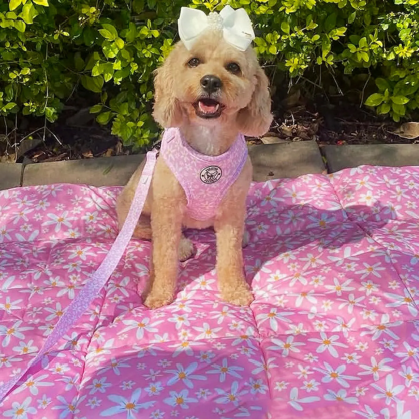 Daisy Chains - Adventure Mat