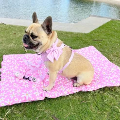 Daisy Chains - Adventure Mat