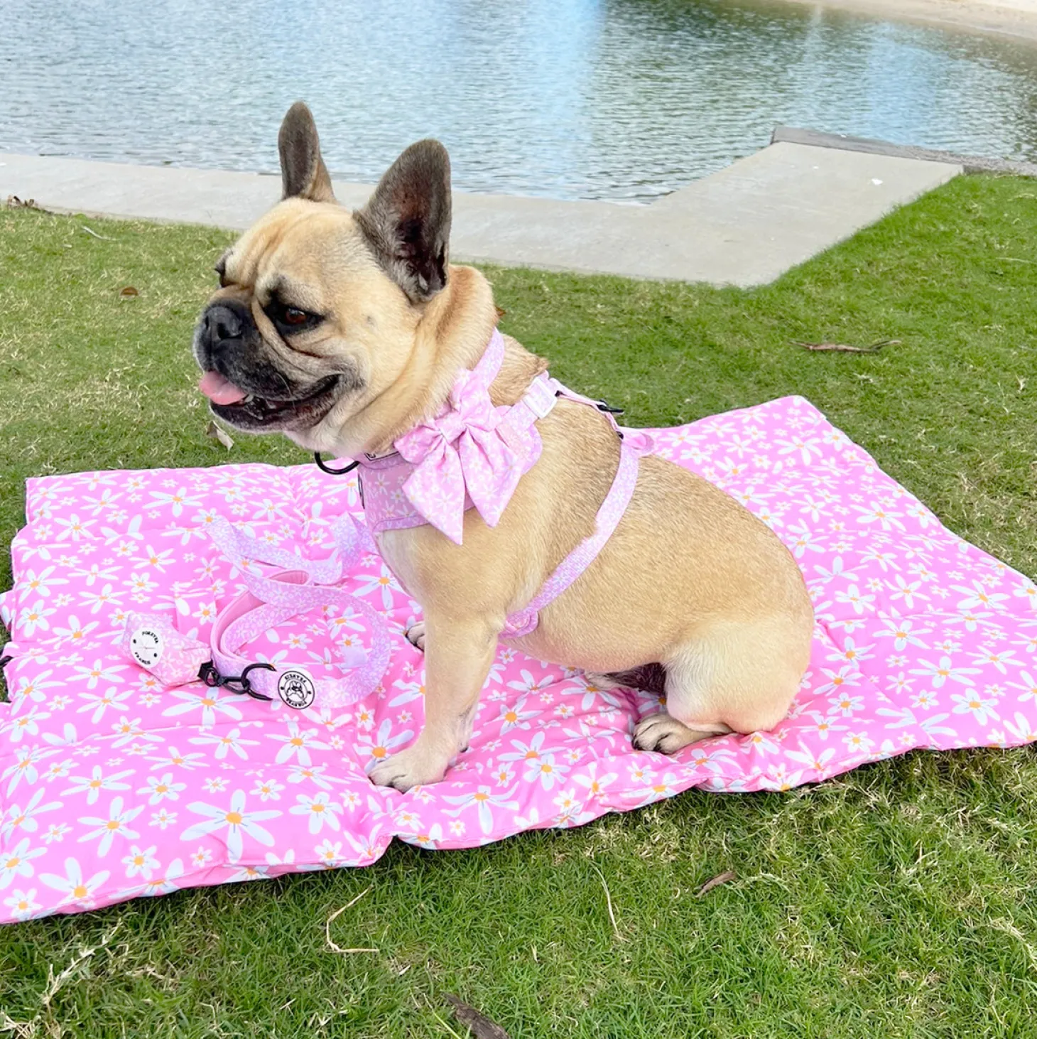 Daisy Chains - Adventure Mat