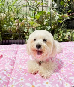 Daisy Chains - Adventure Mat