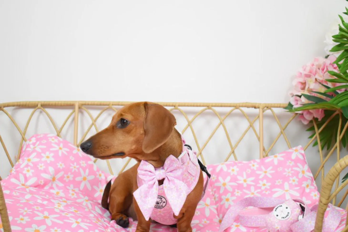 Daisy Chains - Adventure Mat