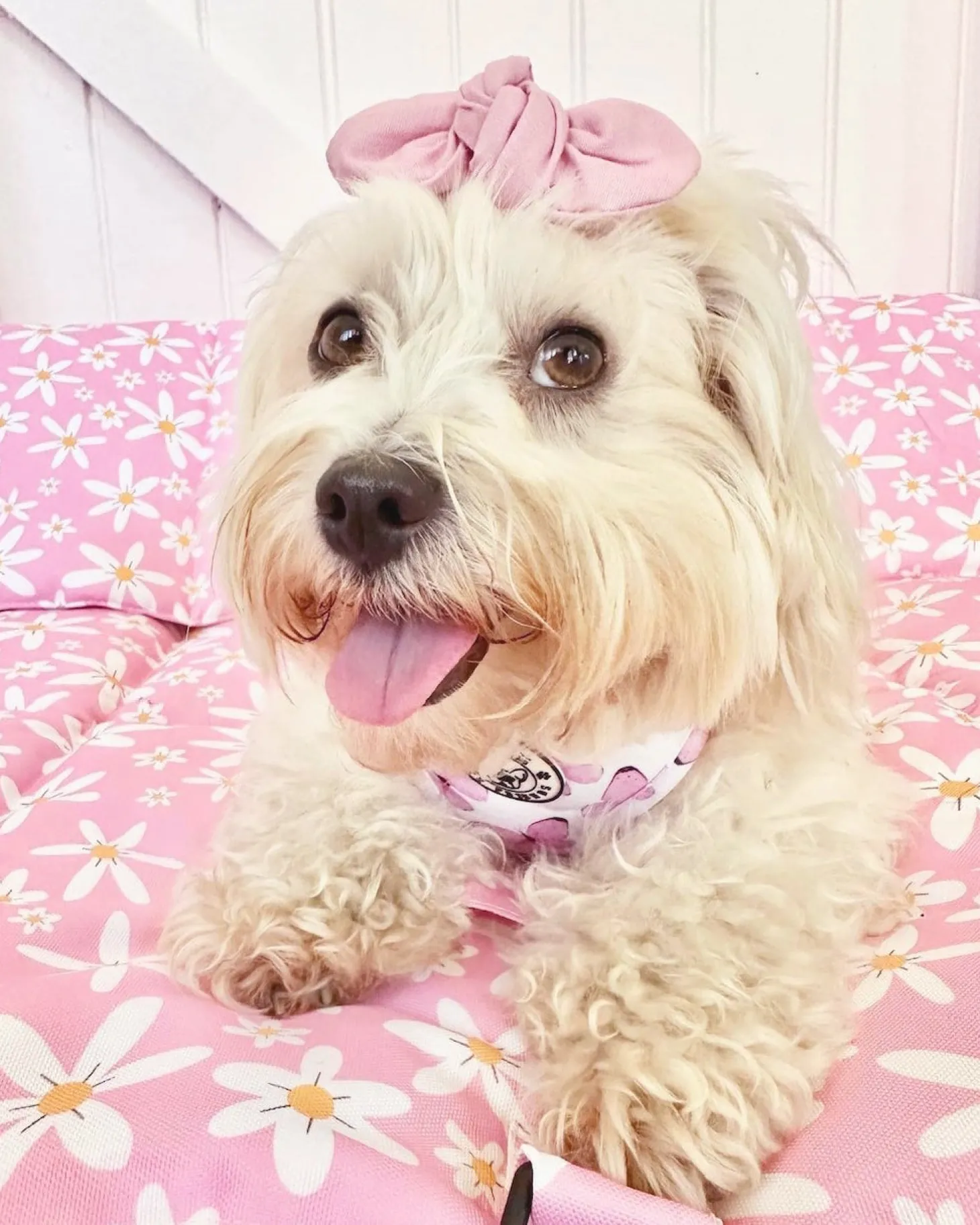 Daisy Chains - Adventure Mat