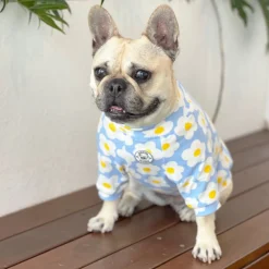 Daisy Sky Dog Skivvie (Limited Edition)