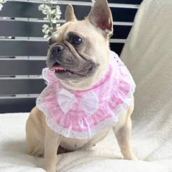 Daisy Stripe Delight Bandana