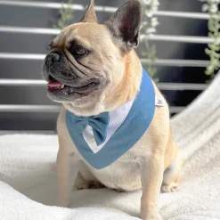 Denim and Dapper Bandana
