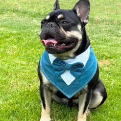 Denim and Dapper Bandana