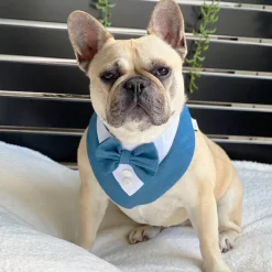 Denim and Dapper Bandana