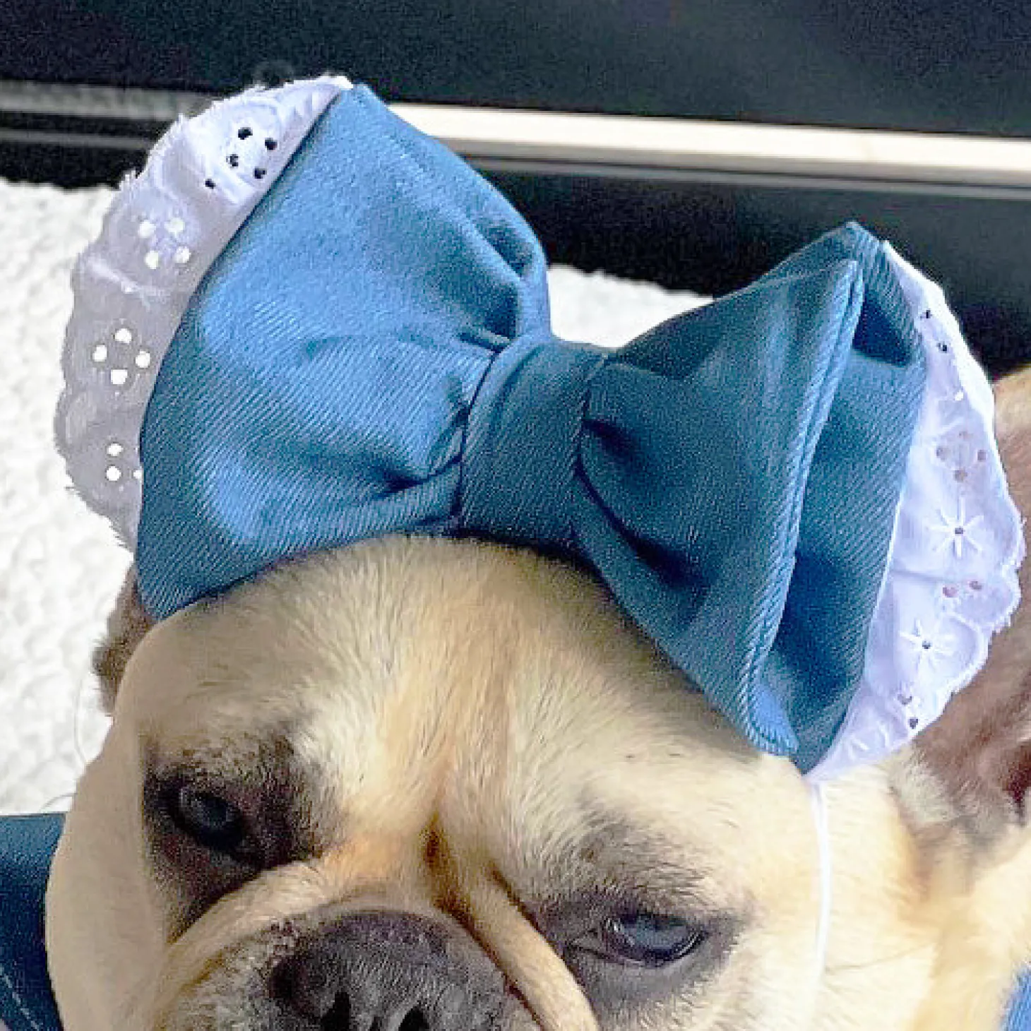 Denim with lace trim- Head Bow (Limited Edition)