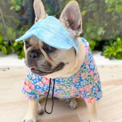 Dog Cap - Blue Stonewash