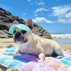 Dog Cap - Mint Stonewash