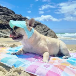 Dog Cap - Mint Stonewash