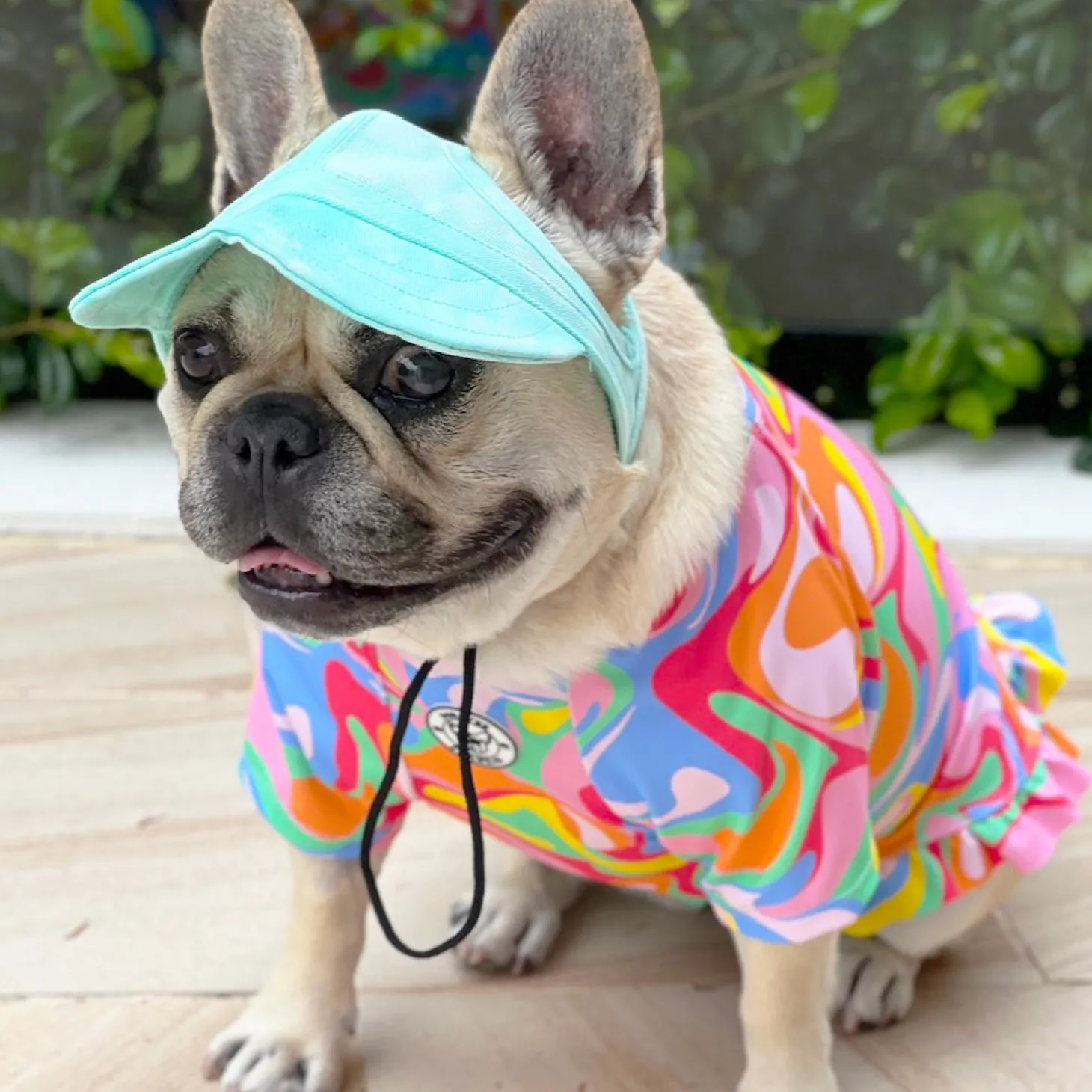 Dog Cap - Mint Stonewash