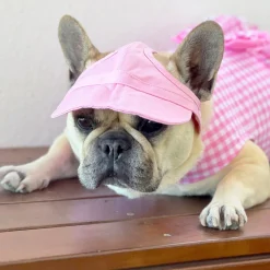 Dog Cap - Pink